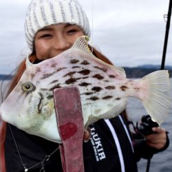 渡船屋たにぐち 釣果
