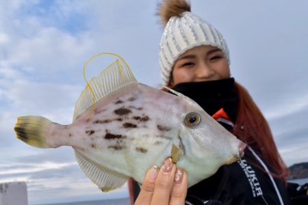 渡船屋たにぐち 釣果
