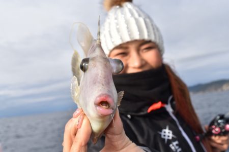 渡船屋たにぐち 釣果