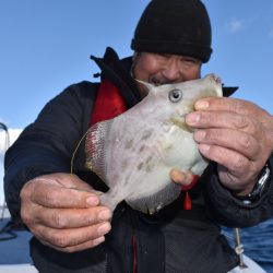 渡船屋たにぐち 釣果