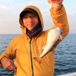 浜栄丸 釣果