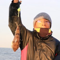 浜栄丸 釣果