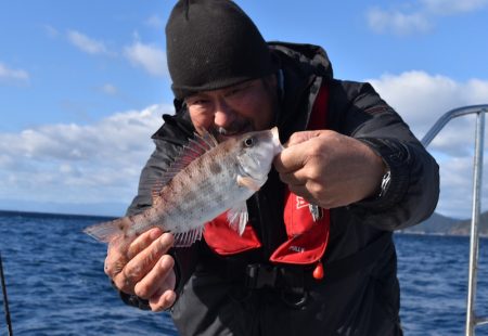 渡船屋たにぐち 釣果