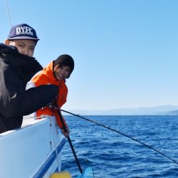 渡船屋たにぐち 釣果