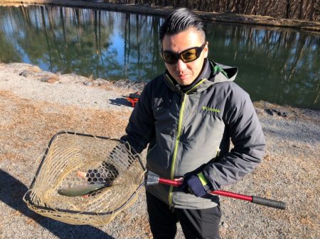 白州トラウトフィッシングエリア シルフ 釣果