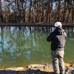 白州トラウトフィッシングエリア シルフ 釣果