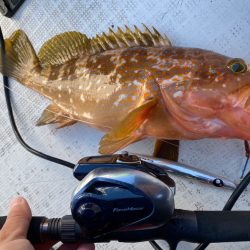 「LaGooN」蒼陽丸 日和号　 釣果