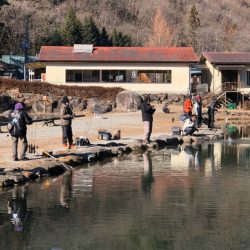 白州トラウトフィッシングエリア シルフ 釣果