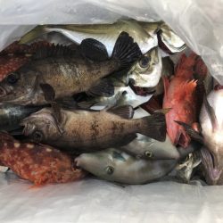 海龍丸（石川） 釣果