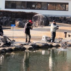 白州トラウトフィッシングエリア　シルフ 釣果