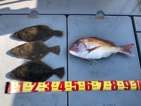 遊漁船高橋 釣果