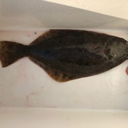 遊漁船高橋 釣果