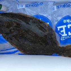 遊漁船高橋 釣果