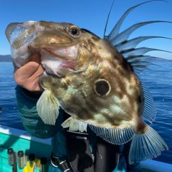 和栄丸 釣果