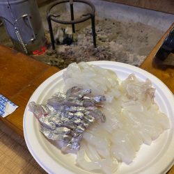 末広丸(熊本) 釣果