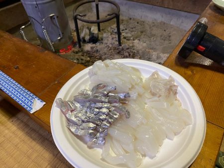 末広丸(熊本) 釣果