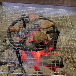 末広丸(熊本) 釣果