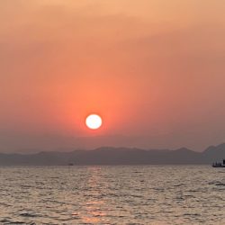 末広丸(熊本) 釣果