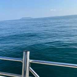 末広丸(熊本) 釣果