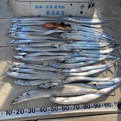 末広丸(熊本) 釣果