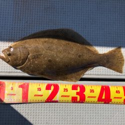 遊漁船高橋 釣果