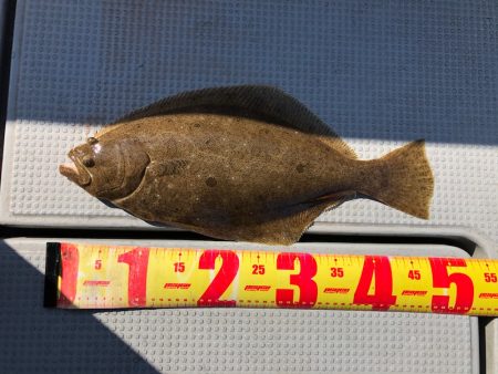 遊漁船高橋 釣果