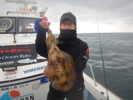 きずなまりん 釣果