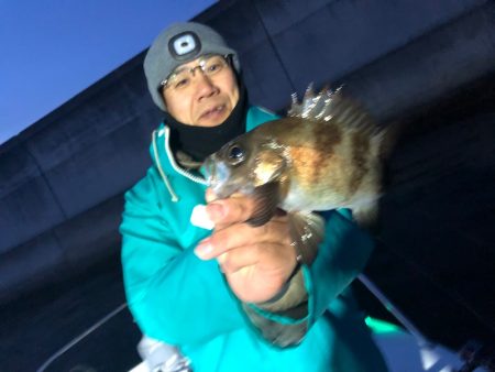 Ｖ−７ West 釣果