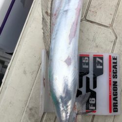 フィッシング　キッタカ 釣果