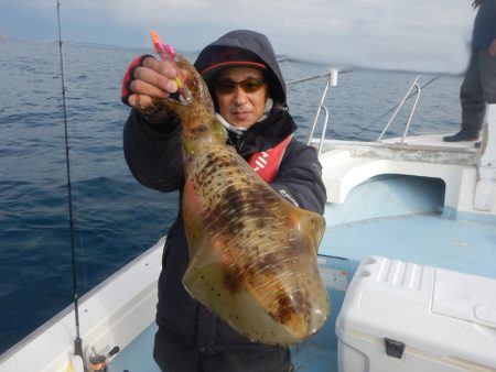 きずなまりん 釣果