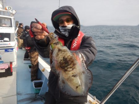 きずなまりん 釣果