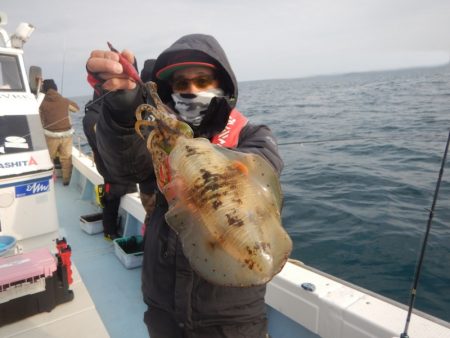 きずなまりん 釣果