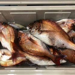 第二八坂丸 釣果