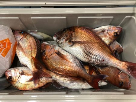 第二八坂丸 釣果