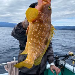 和栄丸 釣果