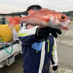 ぽん助丸 釣果