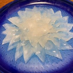 ブルースフィッシングサービス 釣果