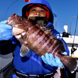 渡船屋たにぐち 釣果