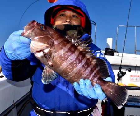 渡船屋たにぐち 釣果