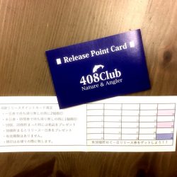 408Club 釣果