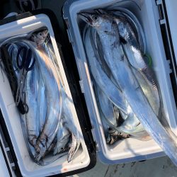 フィッシング キッタカ 釣果