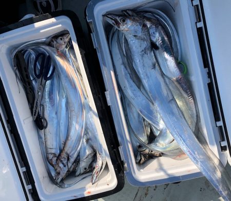 フィッシング キッタカ 釣果