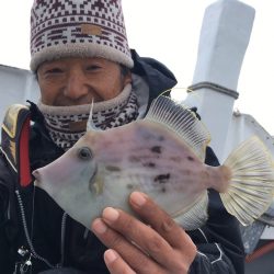 渡船屋たにぐち 釣果