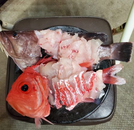一華丸 釣果