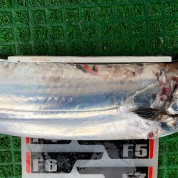 フィッシング キッタカ 釣果