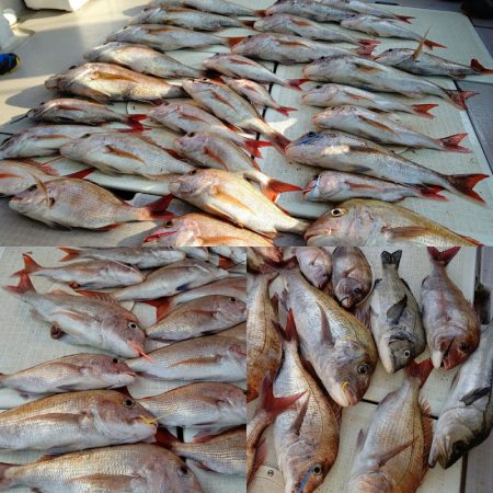 タイラバ遊漁船 ワンピース 釣果