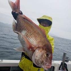 シーライオン 釣果