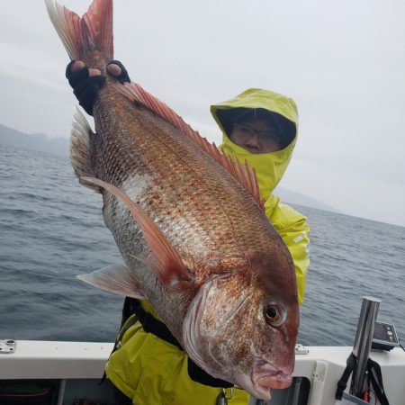 シーライオン 釣果