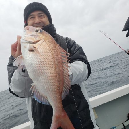 シーライオン 釣果