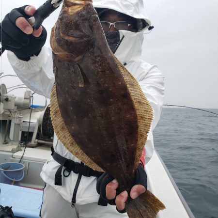 シーライオン 釣果